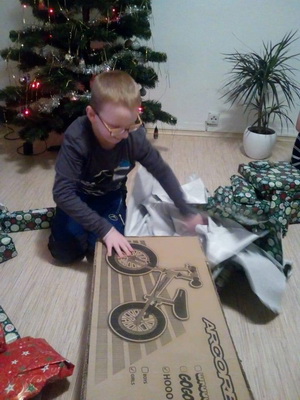 Radimek s odr�edlem